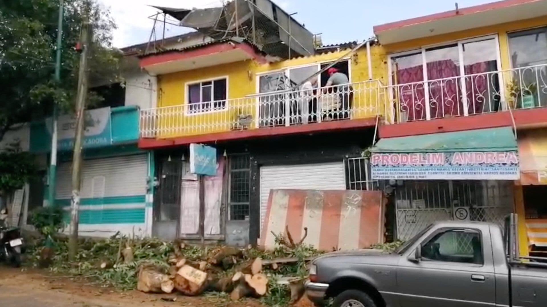 Familia Denuncia Afectaciones tras Caída de Árbol en Xalapa Ya Había Sido Reportado