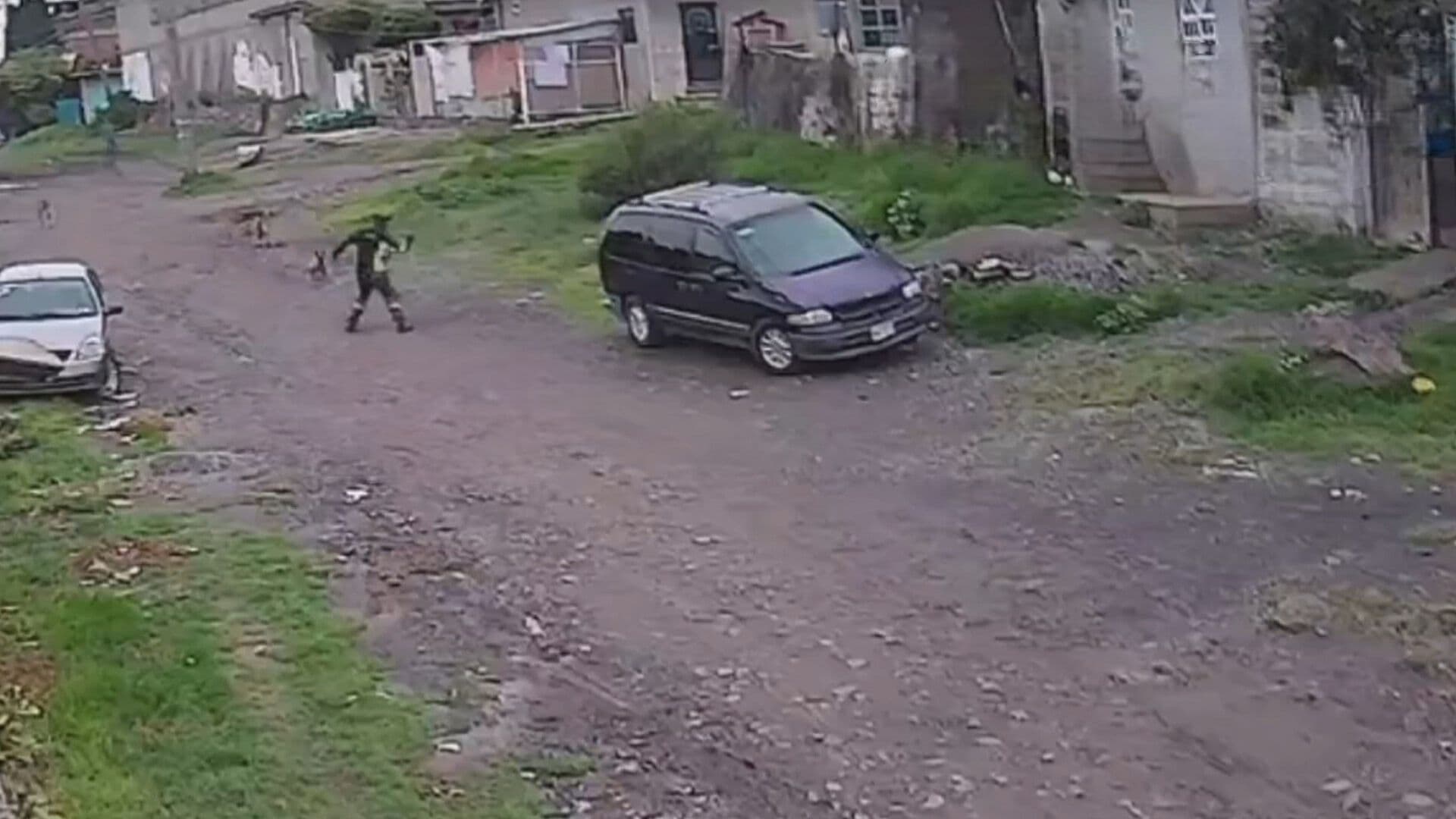 Crueldad Animal: Sujeto Deja Inconsciente a Perrito tras Arrojarle un Martillo en Teoloyucan