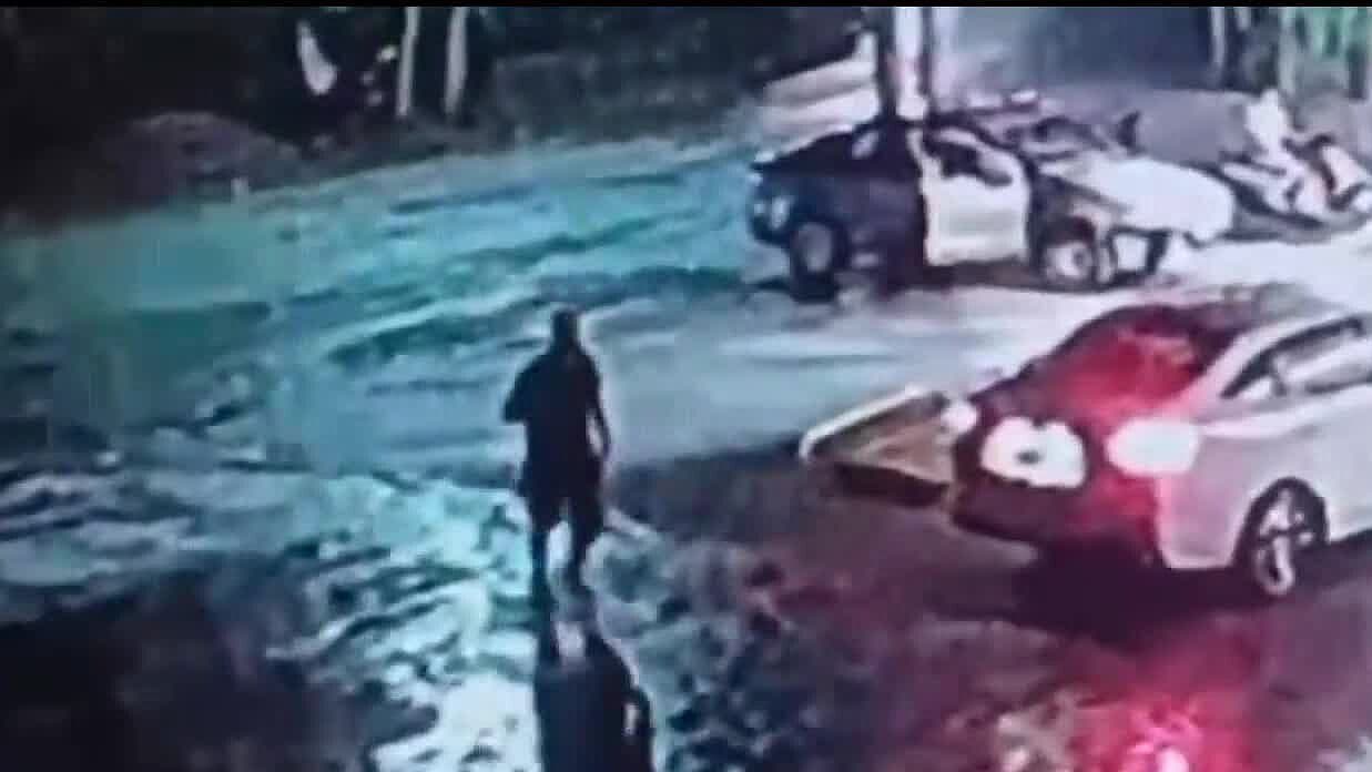 Captan en Video a Hombre Golpea a Perrita Callejera en Santiago Lo Buscan y Exigen Justicia
