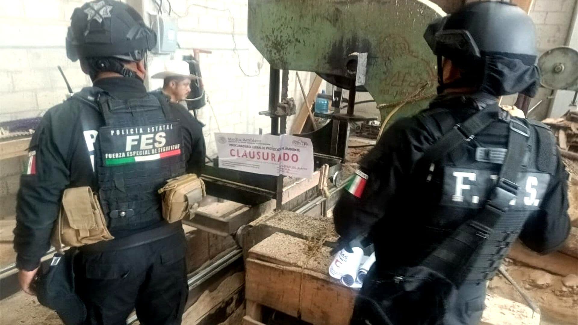 Clausuran Centro Clandestino de Almacenamiento de Madera en Xonacatlán, Edomex
