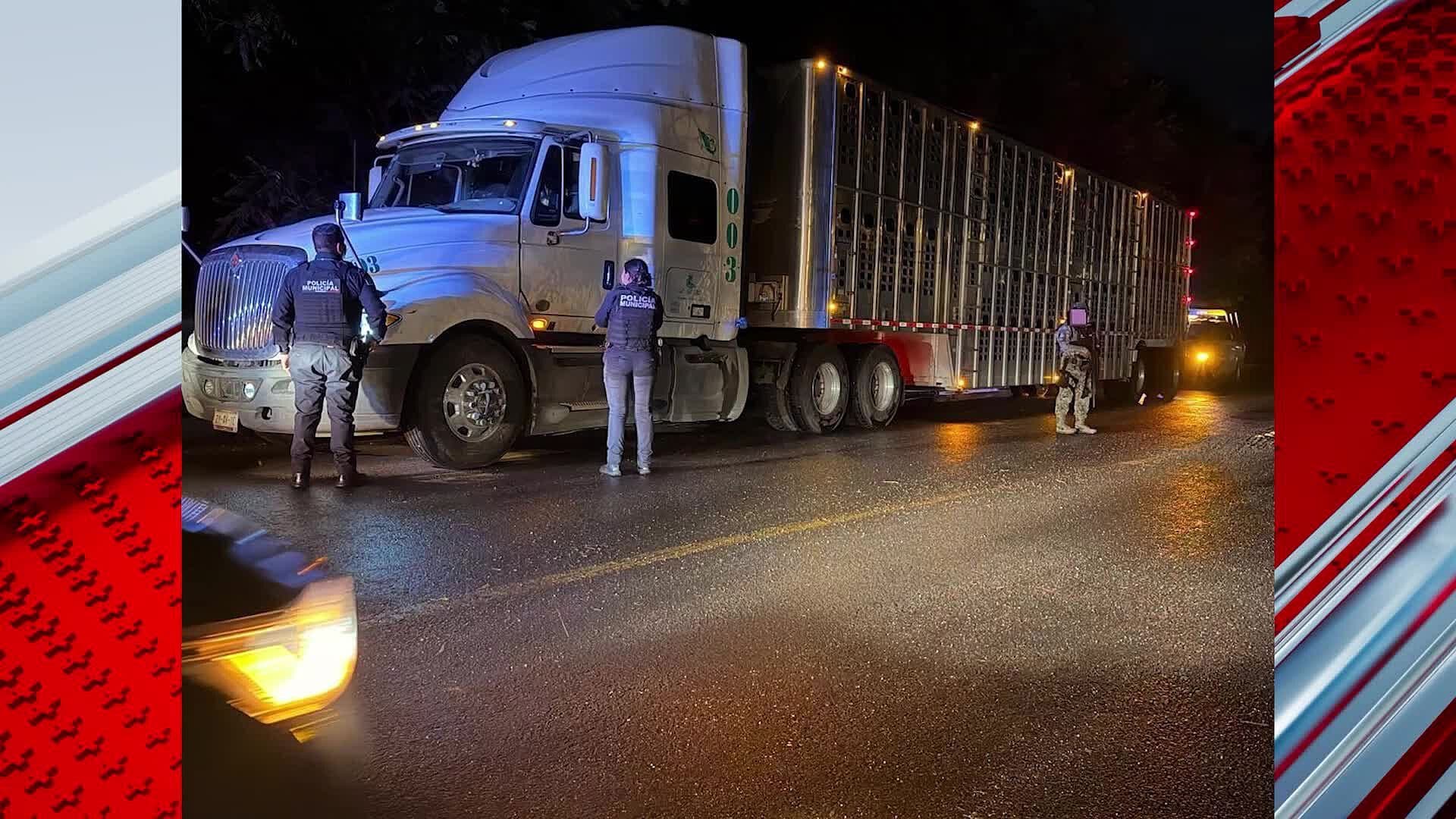Aseguran Tractocamión con Ganado Presuntamente Robado en San Juan del Río