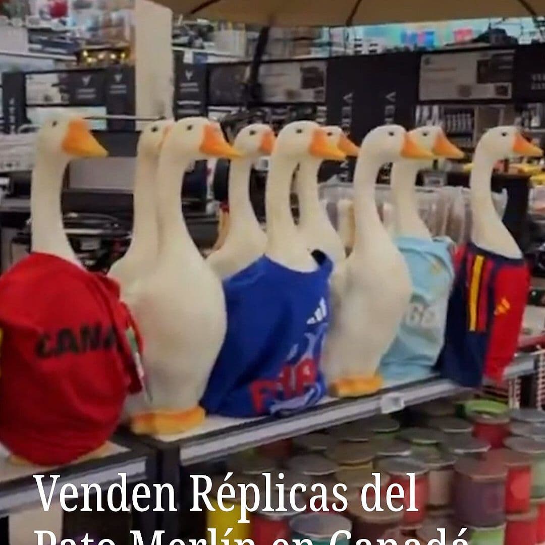 Venden Réplicas del Pato Merlín en Canadá