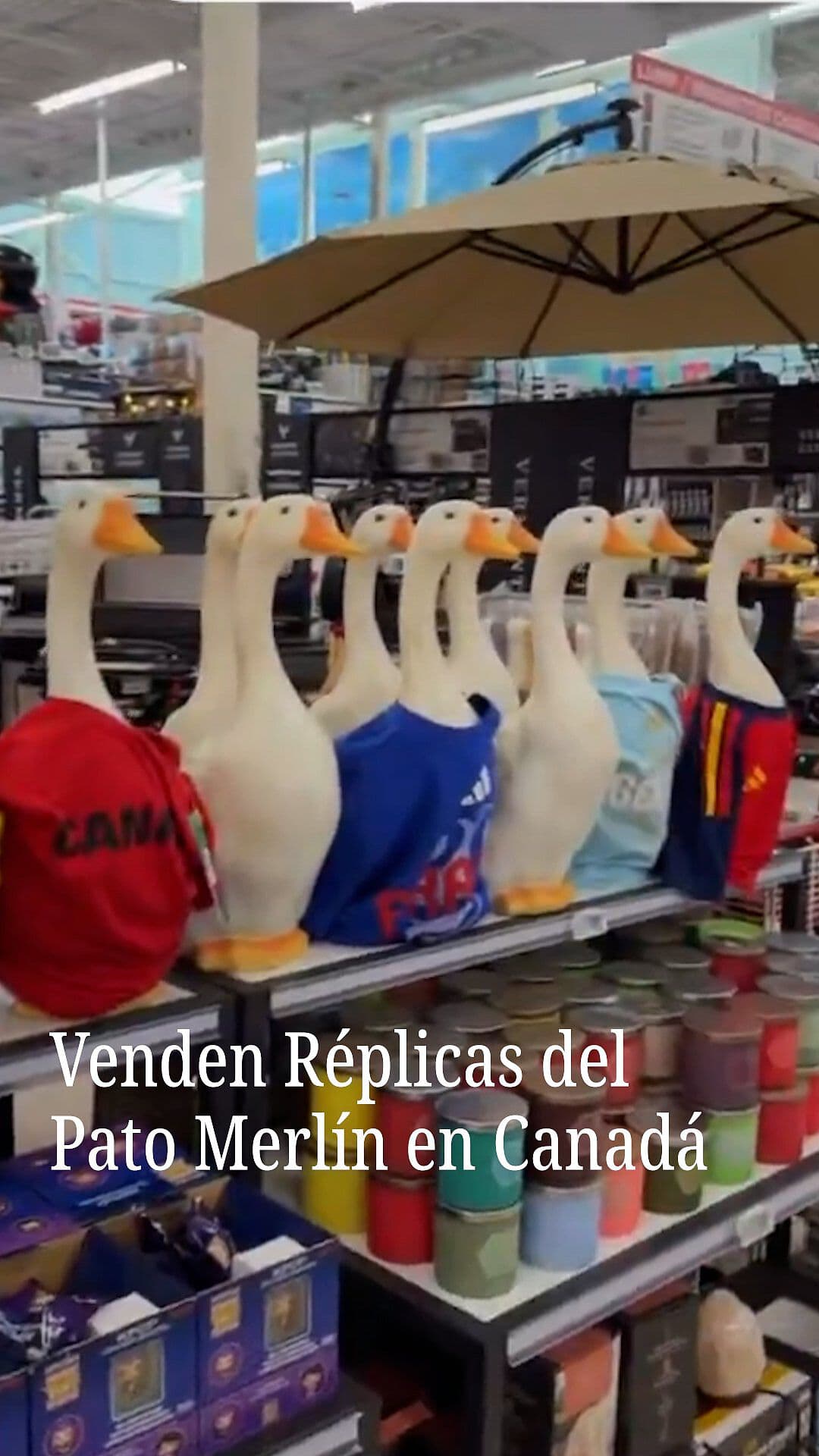 Venden Réplicas del Pato Merlín en Canadá