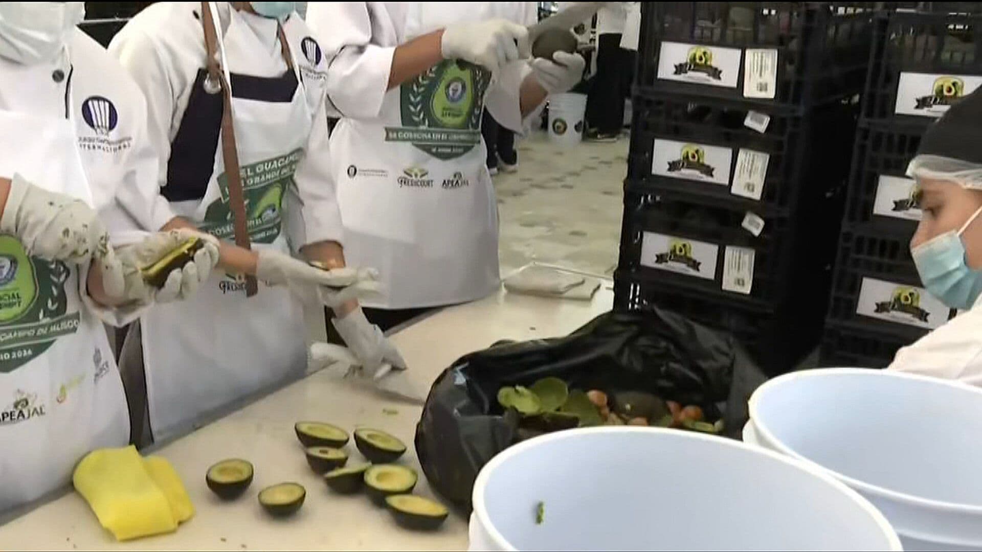 Zapopan Rompe el Récord del Guacamole Más Grande del Mundo con Más de 12 Toneladas