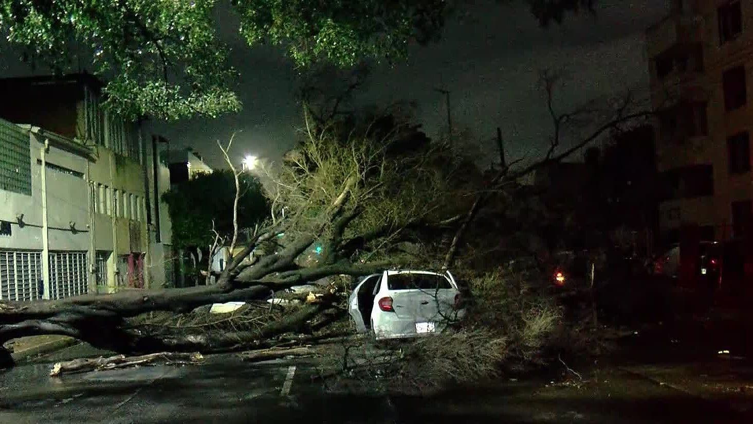 ¿Un Seguro de Auto Cubre Daños Causados por Lluvias en Jalisco? Esto Dicen Especialistas