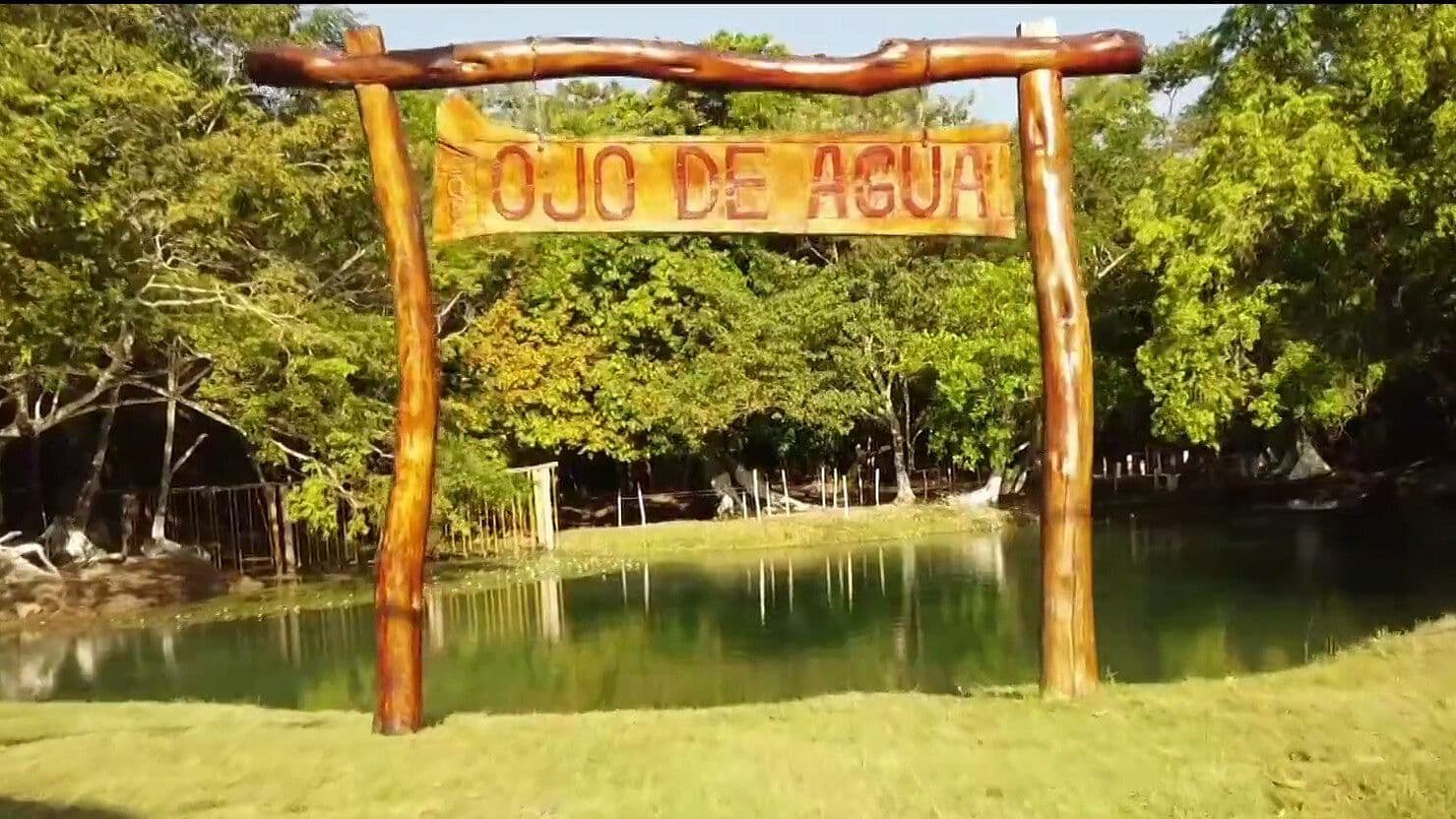 Chekubul, el Paraíso Natural de Campeche con Aguas Cristalinas y Fauna Silvestre