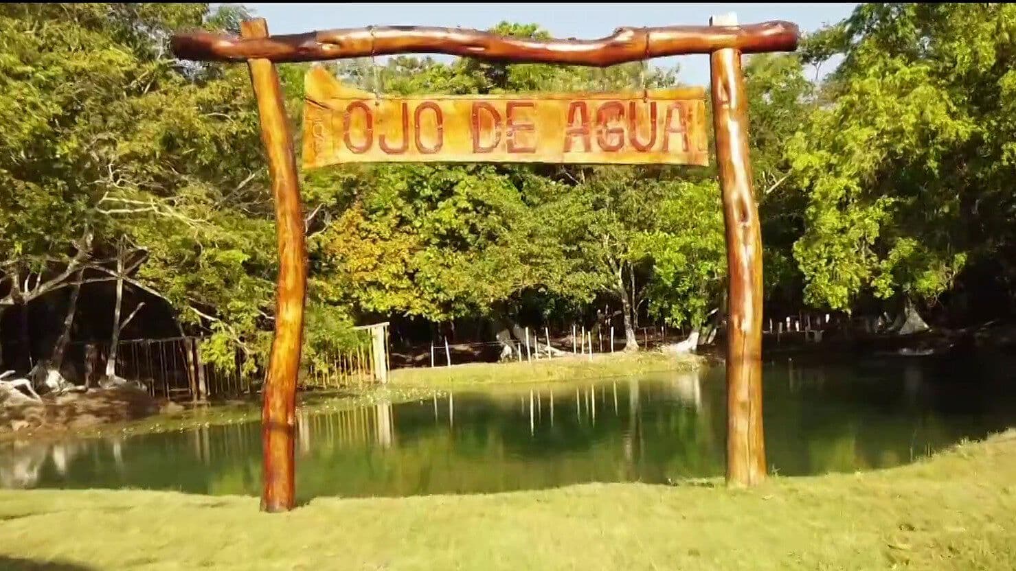 Chekubul, el Paraíso Natural de Campeche con Aguas Cristalinas y Fauna Silvestre