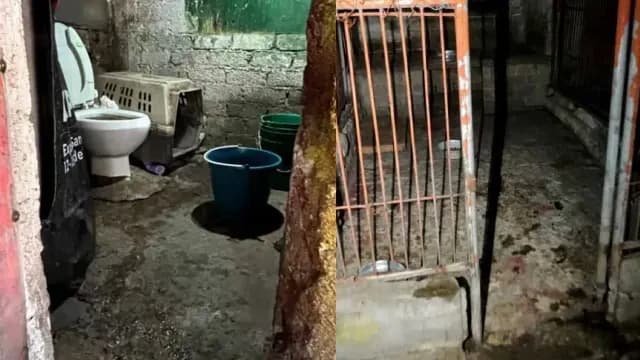 Refugio Franciscano. Foto: Gobierno de la CDMX