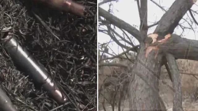 Así se Desplegó el Operativo vs. "El Mencho".