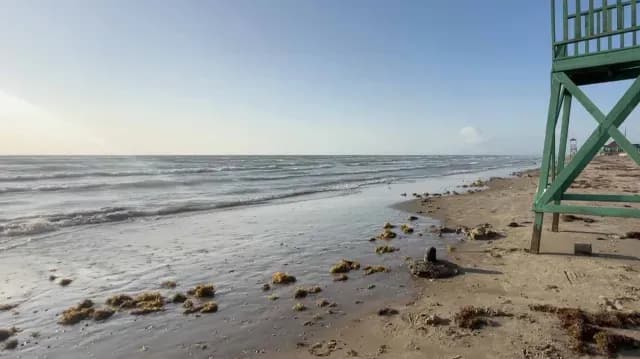 Sin Presencia de Chapopote en Playa Bagdad