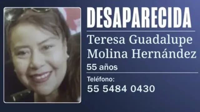 Teresa Guadalupe Molina Hernández