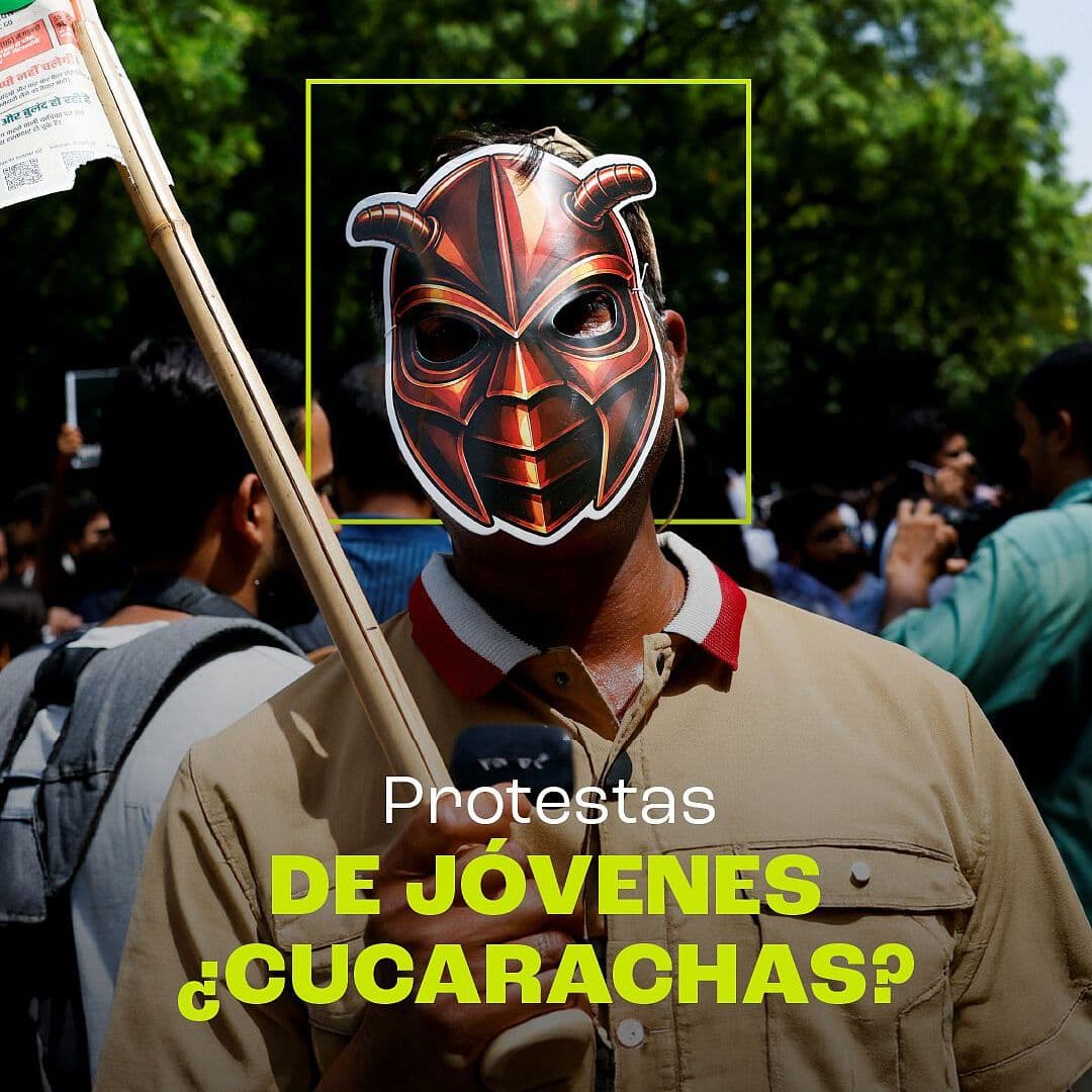 Protestas de Jóvenes… ¿Cucarachas?
