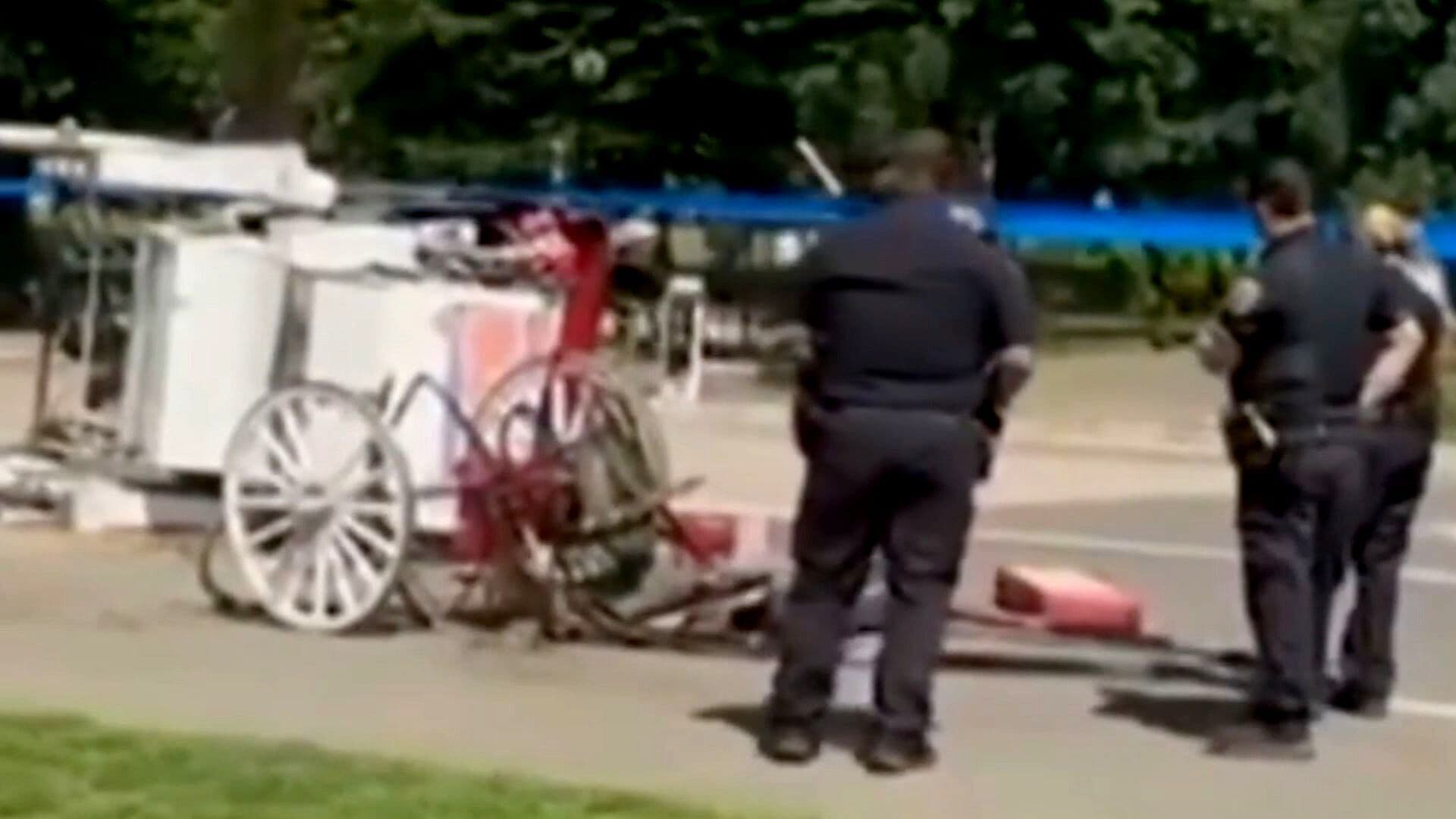 Joven de 18 Años Muere en Accidente de Carruaje en Central Park, Nueva York