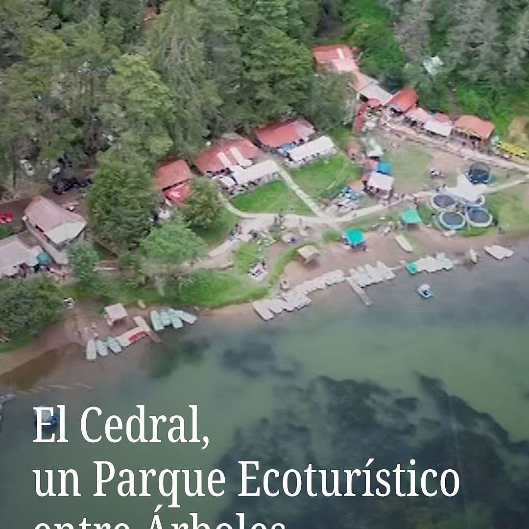 Así es El Cedral, un Parque Ecológico Escondido Entre los Árboles en Mineral del Chico, Hidalgo