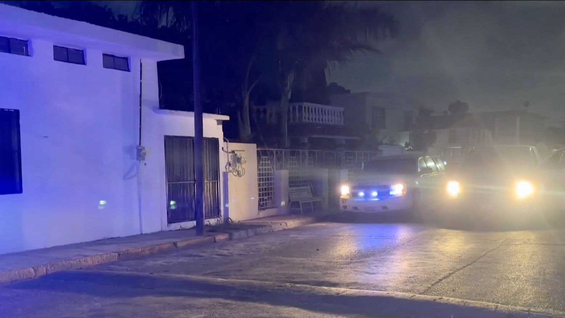 Fiscalía de Tamaulipas Catea Casa tras Denuncia de Maltrato Animal en Matamoros