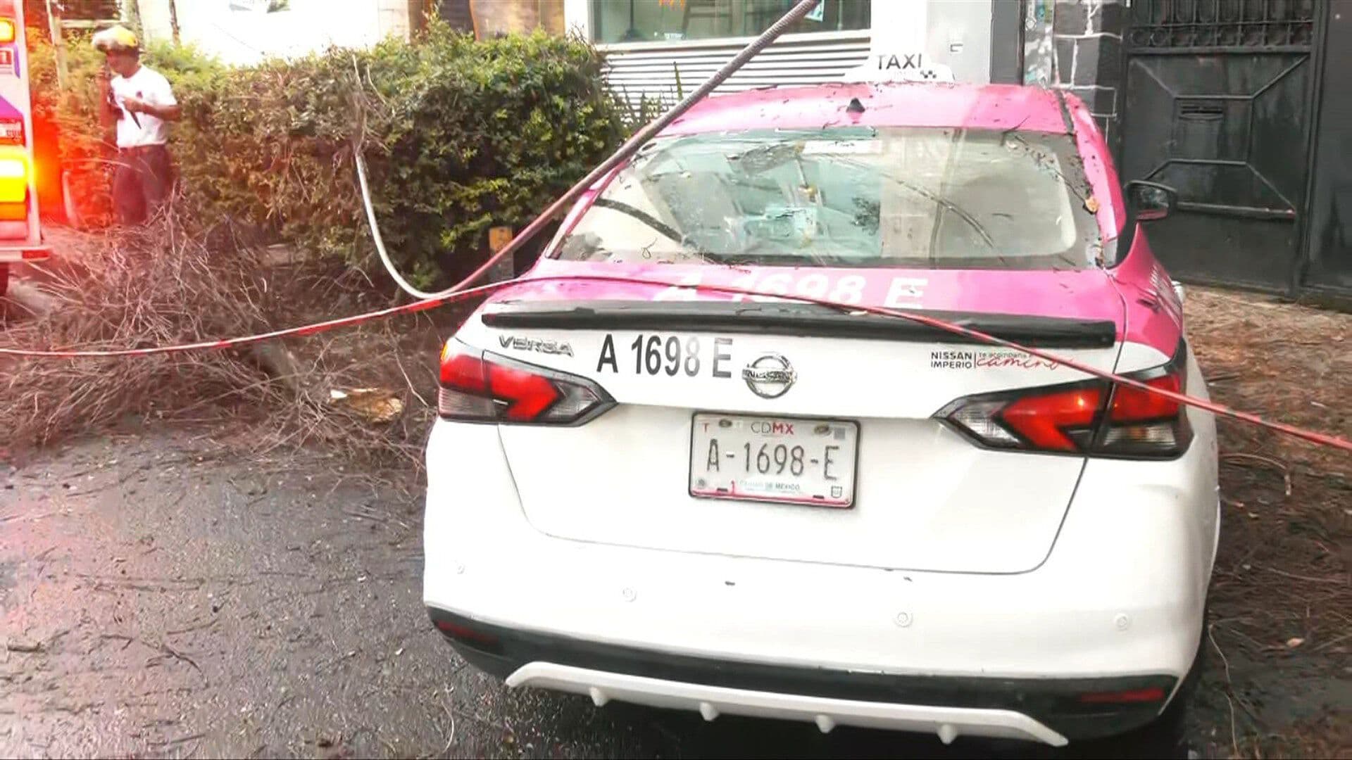 Caída de Rama Daña Taxi y Cableado del Trolebús en la Roma Norte por Fuertes Vientos en CDMX
