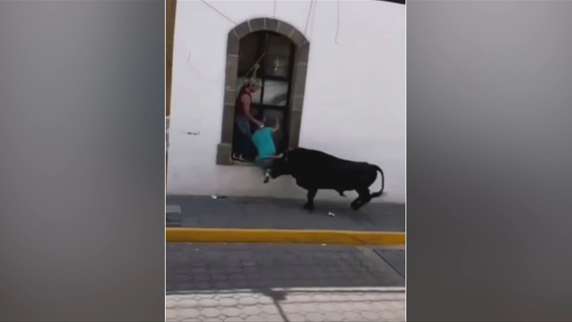 Toro Embiste a Dos Hombres Durante la Tradicional Pamplonada en Amaxac, Tlaxcala