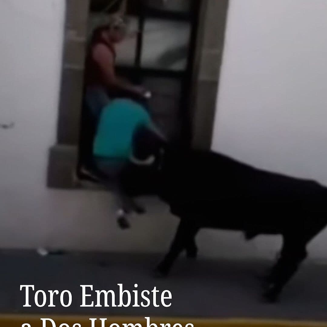 Toro Embiste a Dos Hombres