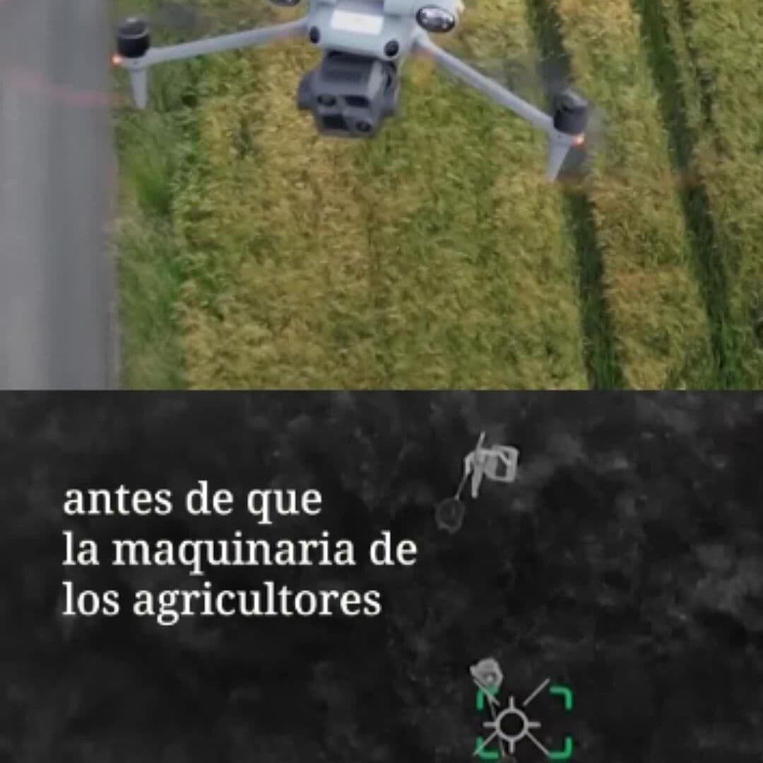 Drones y Cámaras Termográficas Ayudan a los Cervatillos