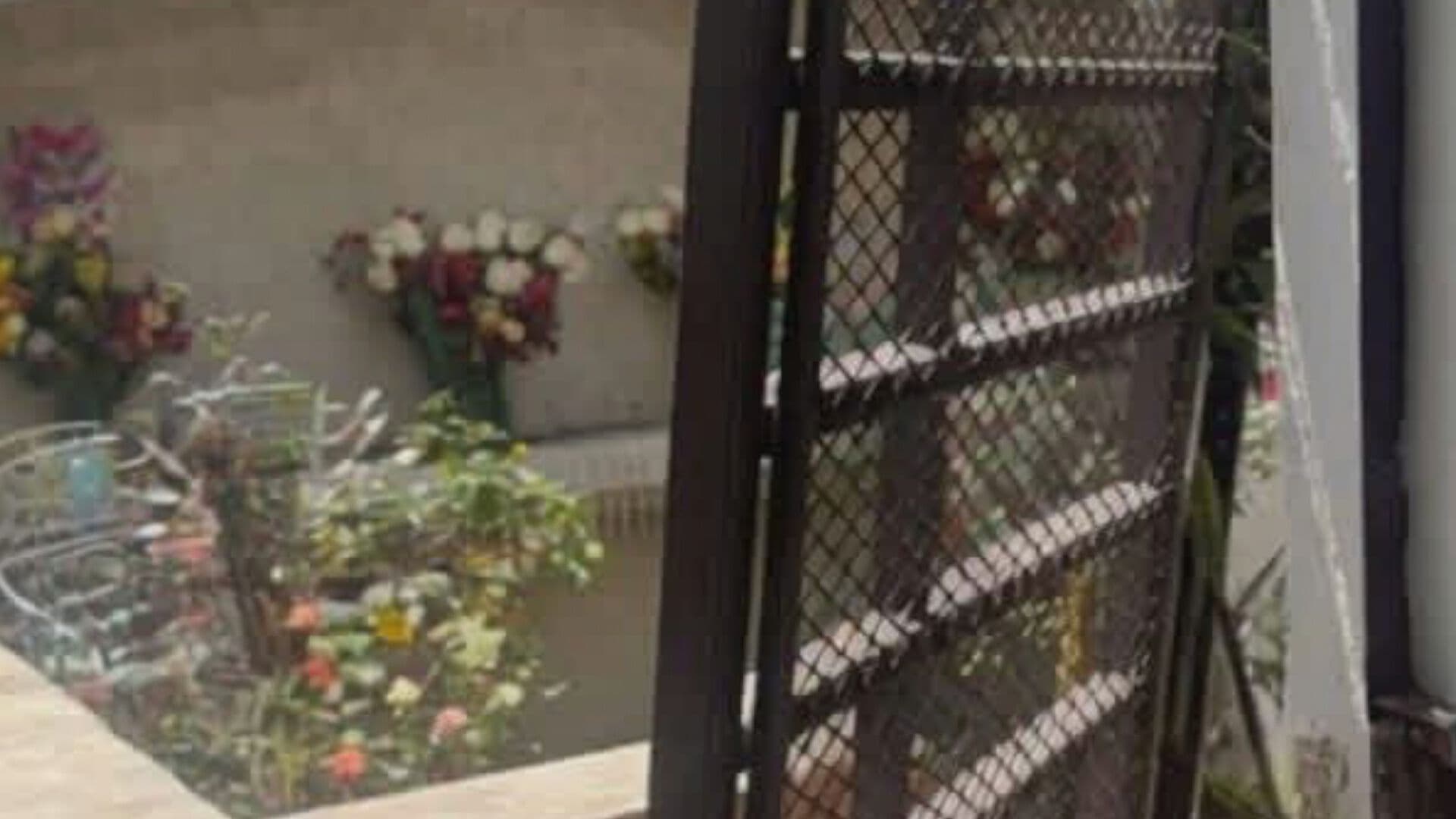 Descuidos Saqueos Capillas Funerarias Sepulturas Panteón Munipal Acajete Puebla