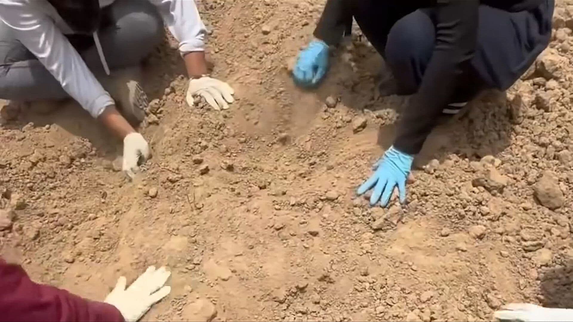 Hallan Sin Vida en Concordia, Sinaloa, a Turista de Querétaro Reportado Desaparecido