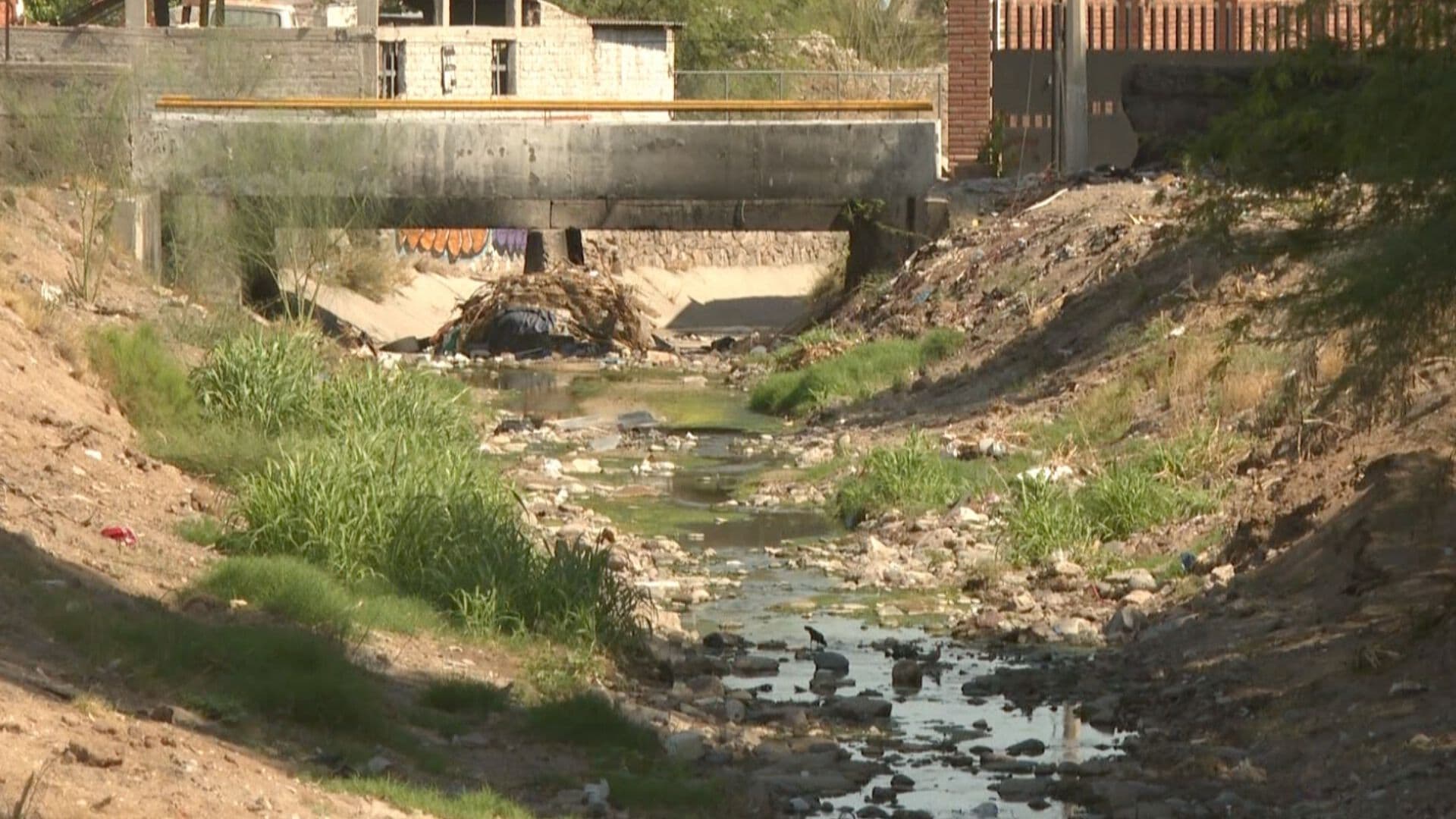 Vecinos Denuncian Acumulación de Basura en Canal de Las Víboras en Hermosillo