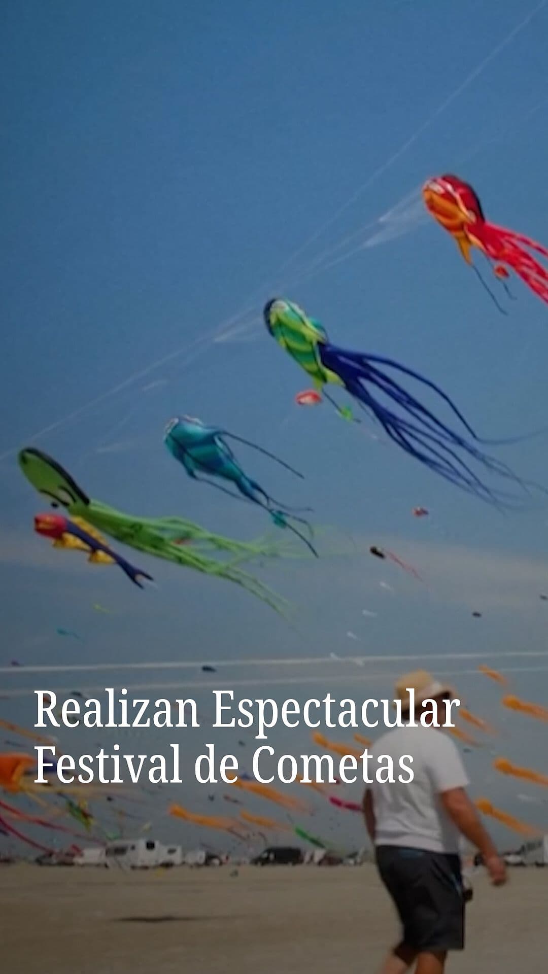 Realizan Festival de Cometas en Isla Danesa