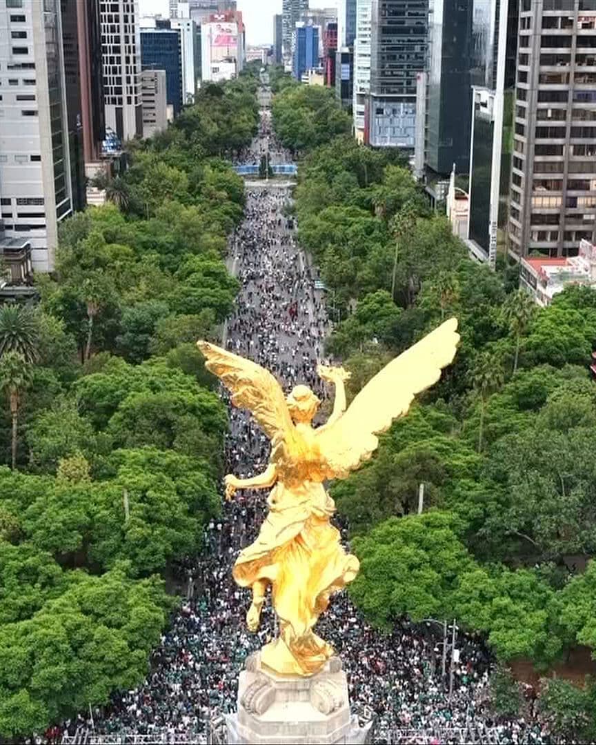 Cover de programa de N+