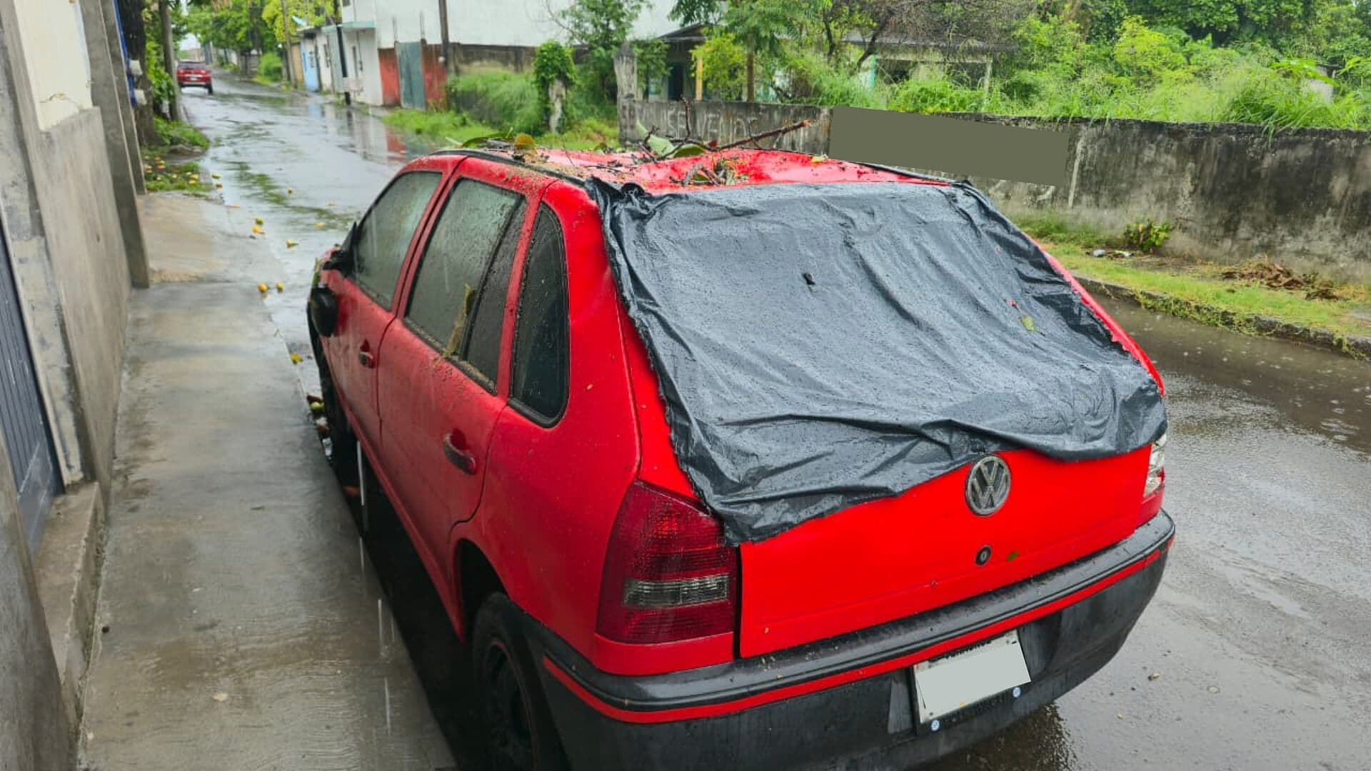 Árbol Cae y Causa Daños Considerables a un Auto Estacionado en Colonia Las Bajadas de Veracruz