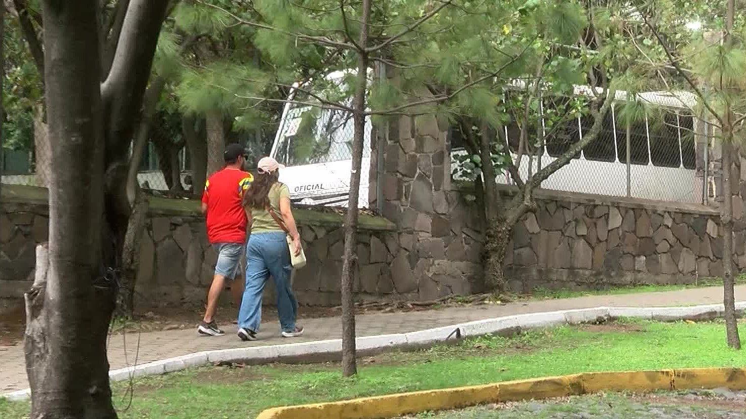 Reportan Ataque de Abejas en Parque Colomos de Guadalajara; Hay una Persona Alérgica Afectada