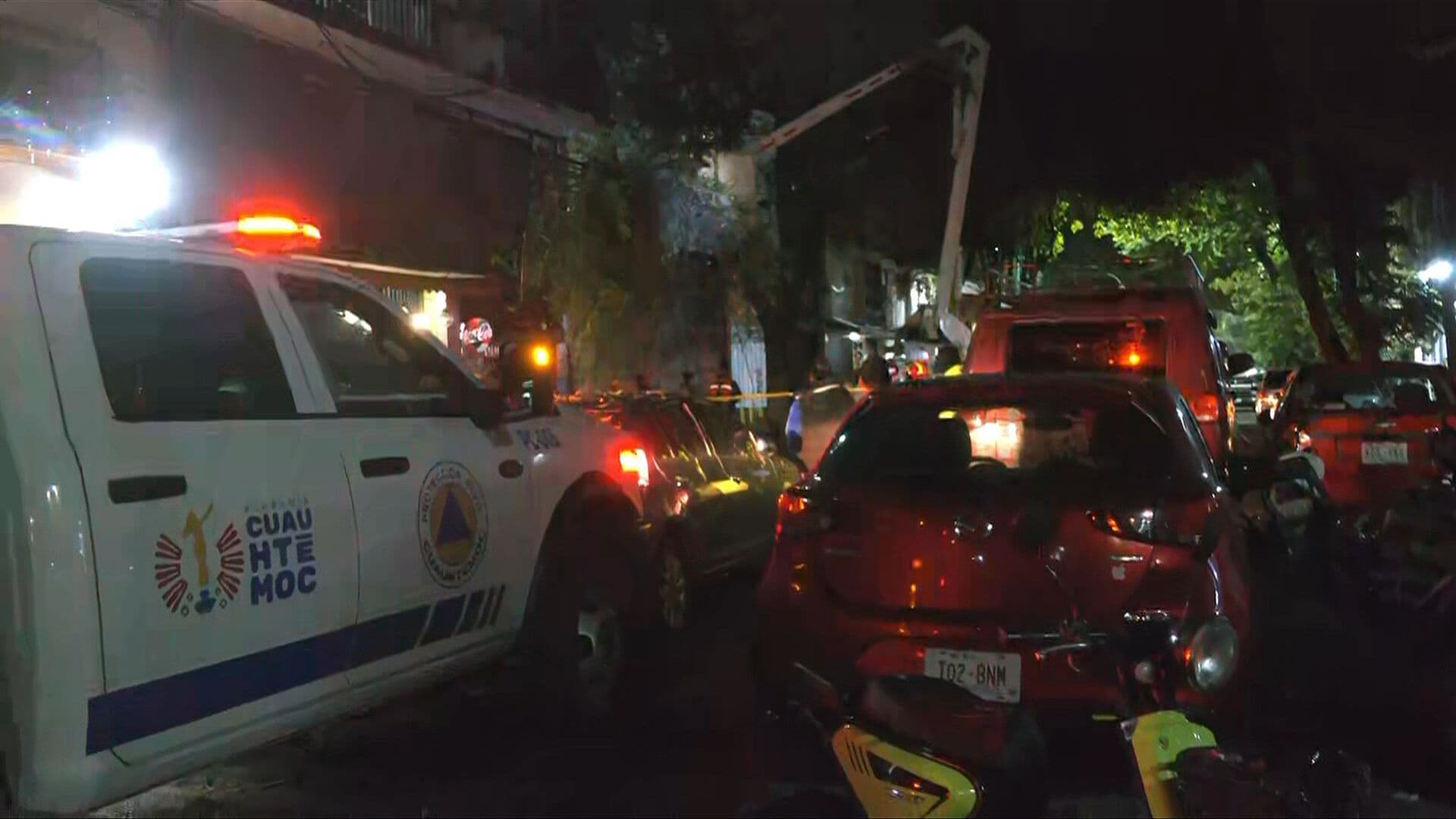 Enorme Árbol Colapsa y Provoca Severos Daños en la Cuauhtémoc, CDMX