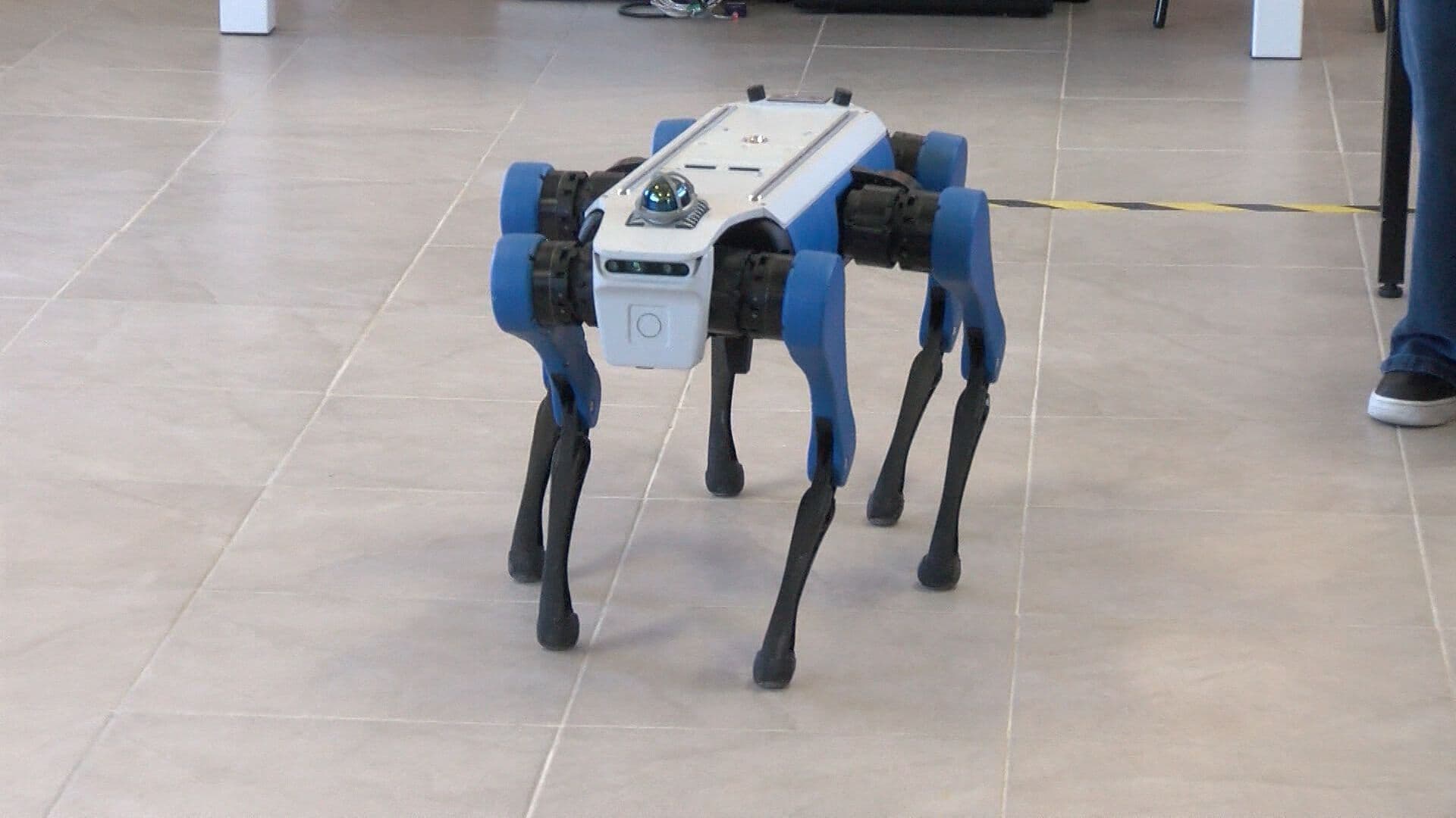 Estudiantes del CBTIS 290 Desarrollan Robots con Inteligencia Artificial en Tijuana
