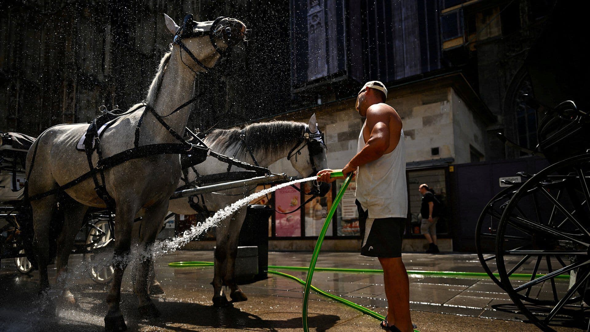 Alerta Máxima en Europa; Onda de Calor Azota a Todo el Continente
