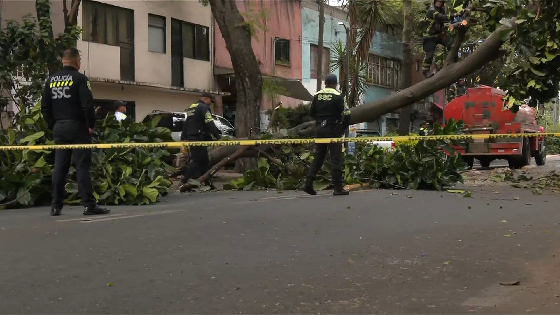 Caída de un Árbol Provoca Cierres Viales en la Colonia Obrera, CDMX