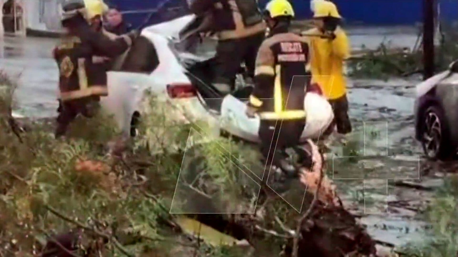 Árbol Cae en Puebla y Deja un Muerto y un Herido en la Recta a Cholula