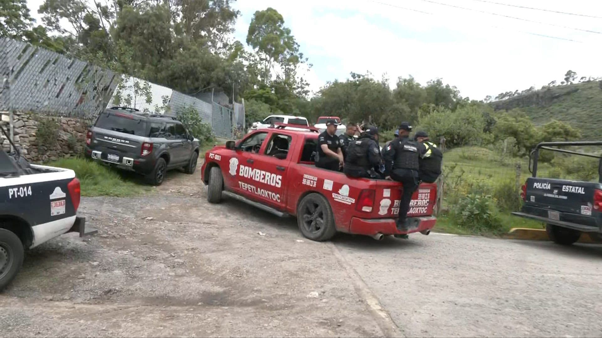 Continúan Labores para Capturar al Tigre que se Escapó de un Refugio en el Estado de México