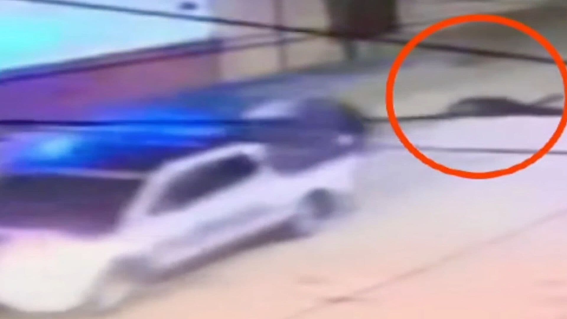 Autoridades de León Descartan Heridas Graves en Policía que Cayó de Patrulla