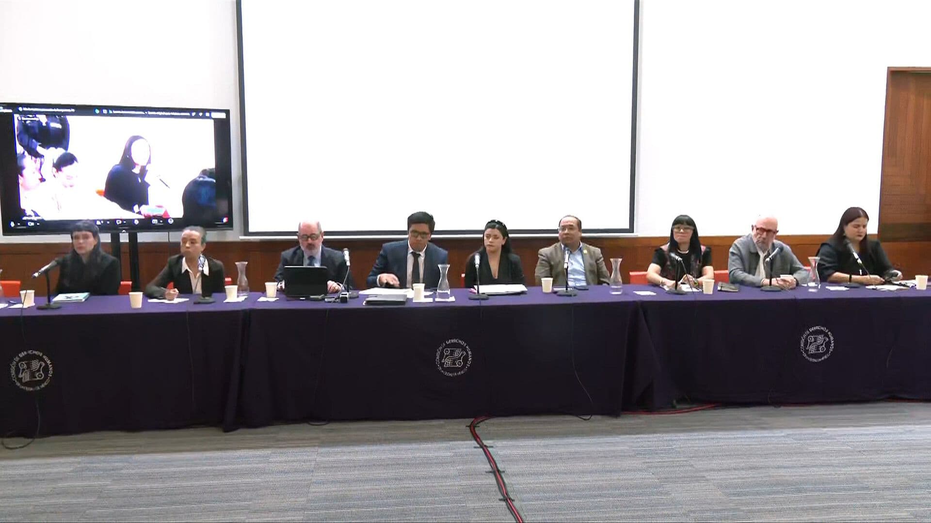 Caso Wallace: Abogados e Instituciones se Unen para Exigir la Libertad de Brenda "N"