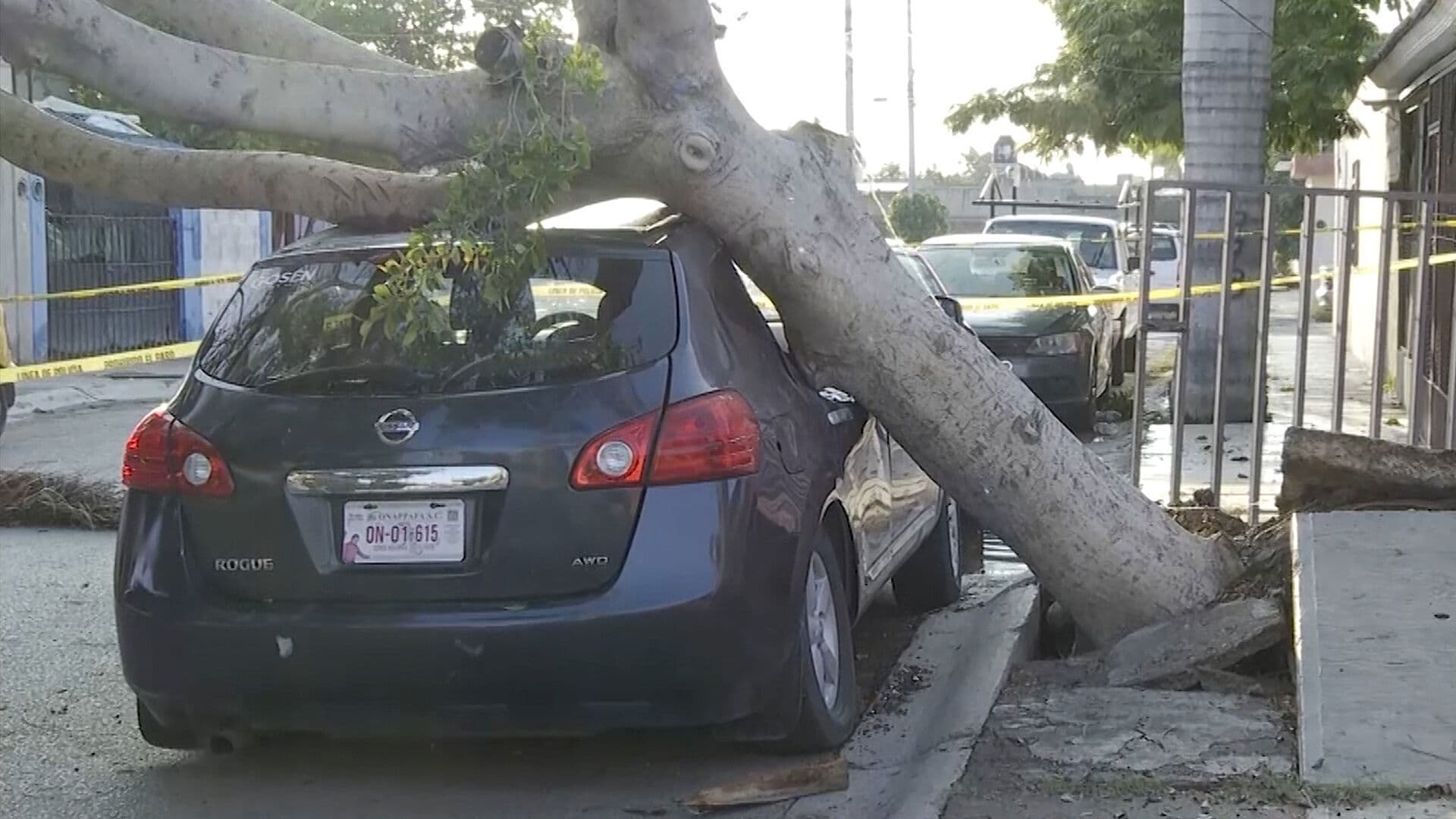Lluvias Provocan Encharcamientos y Caída de Árboles en Torreón