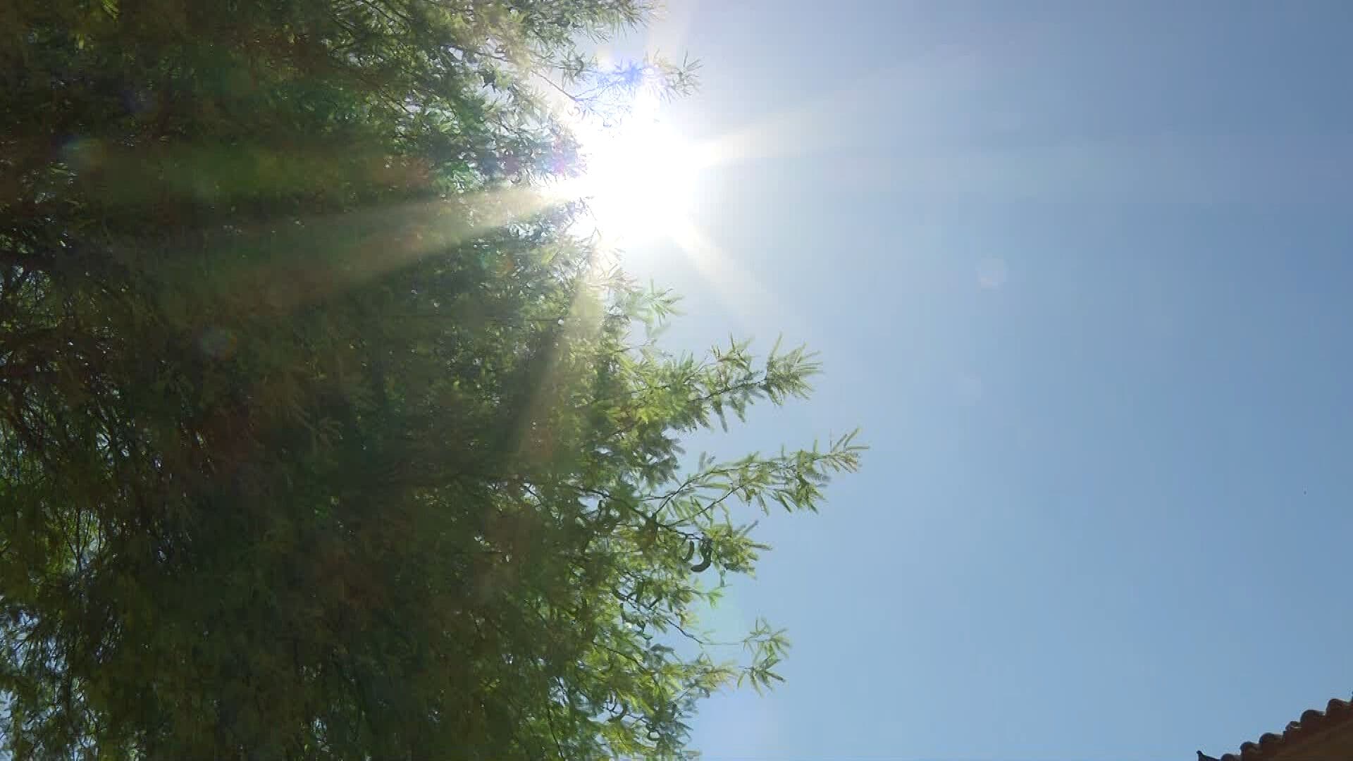 Calor Extremo Dispara el Consumo de Luz en Baja California; Así Puedes Ahorrar Energía