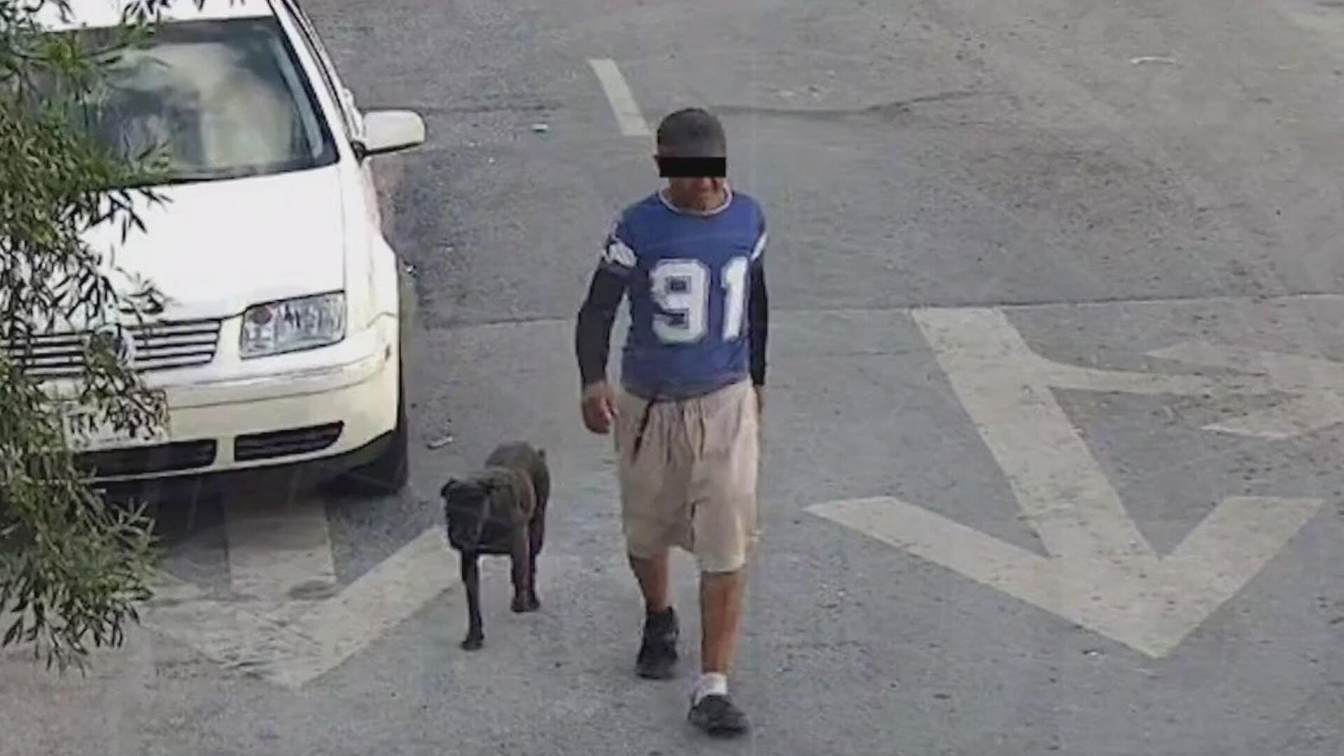 Detienen a Hombre por Usar Perros para Atacar a Mujer en Monterrey