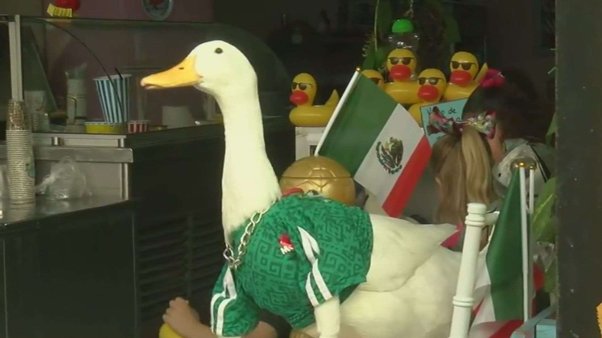 Causa Sensación Pato Lucas entre Regios y Turistas en Centro de Monterrey