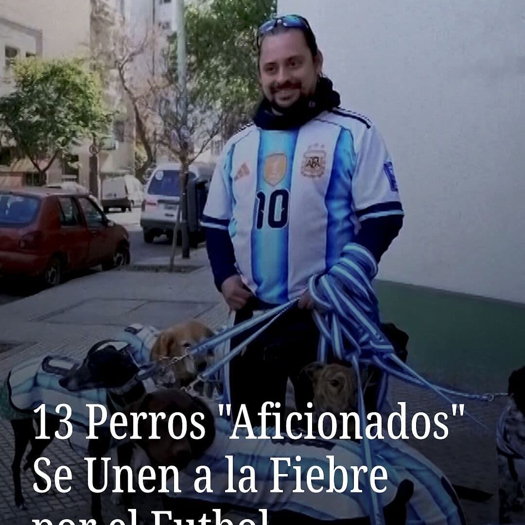 13 Perros "Aficionados" Se Unen a la Fiebre por el Futbol