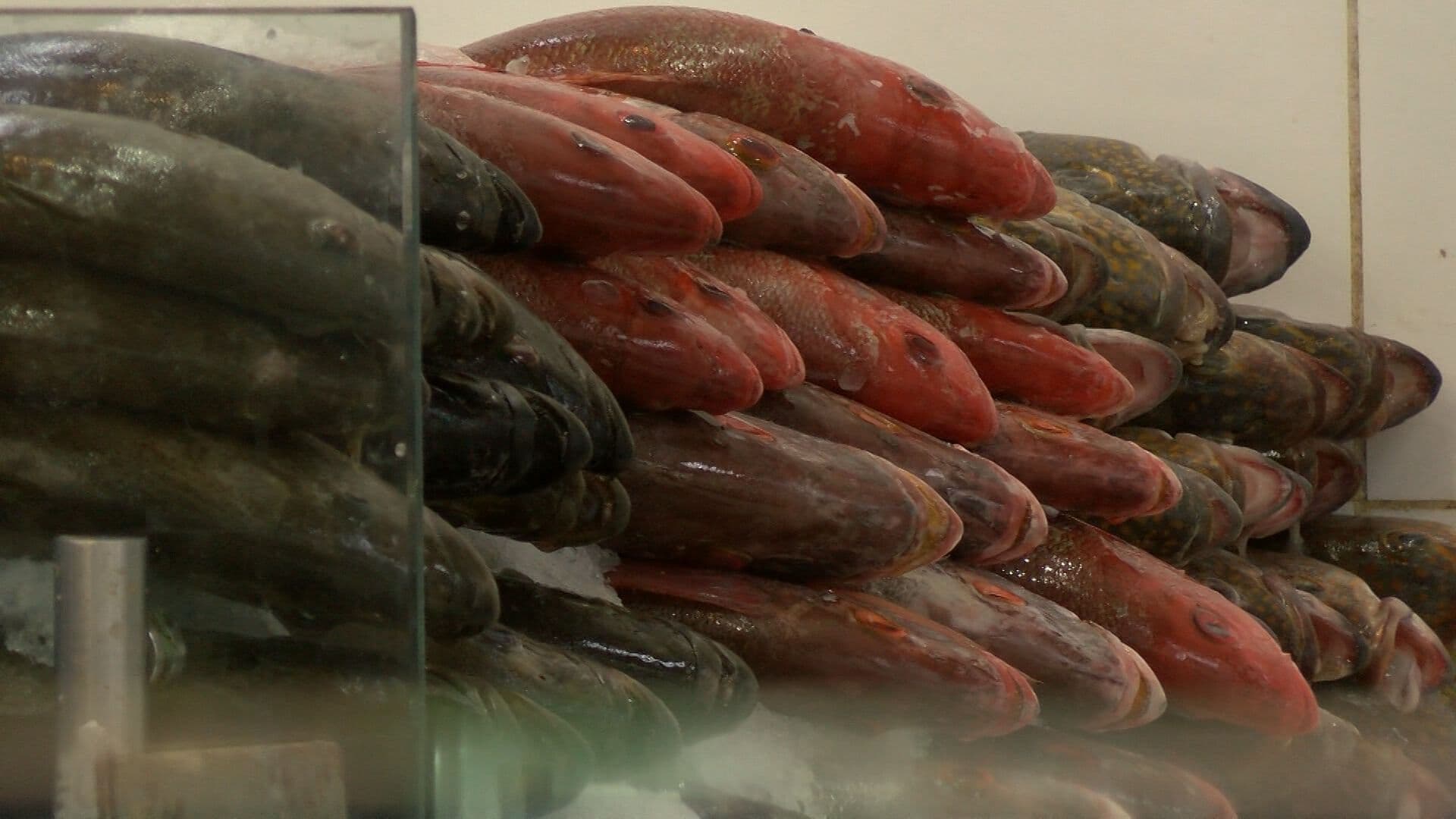 Piden Extremar Precauciones al Comprar Mariscos Durante el Verano en Tijuana