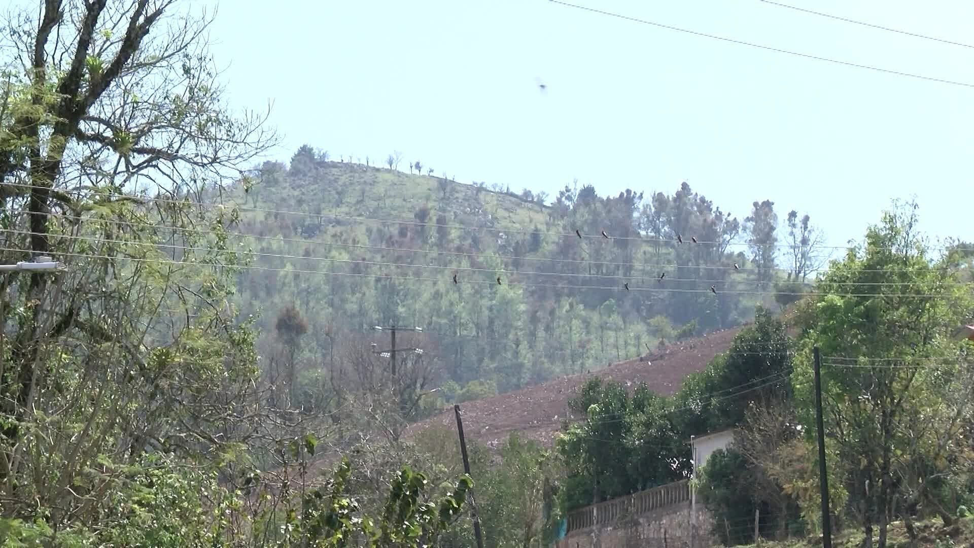Persisten Fallas en el Suministro Eléctrico en la Sierra Gorda Queretana