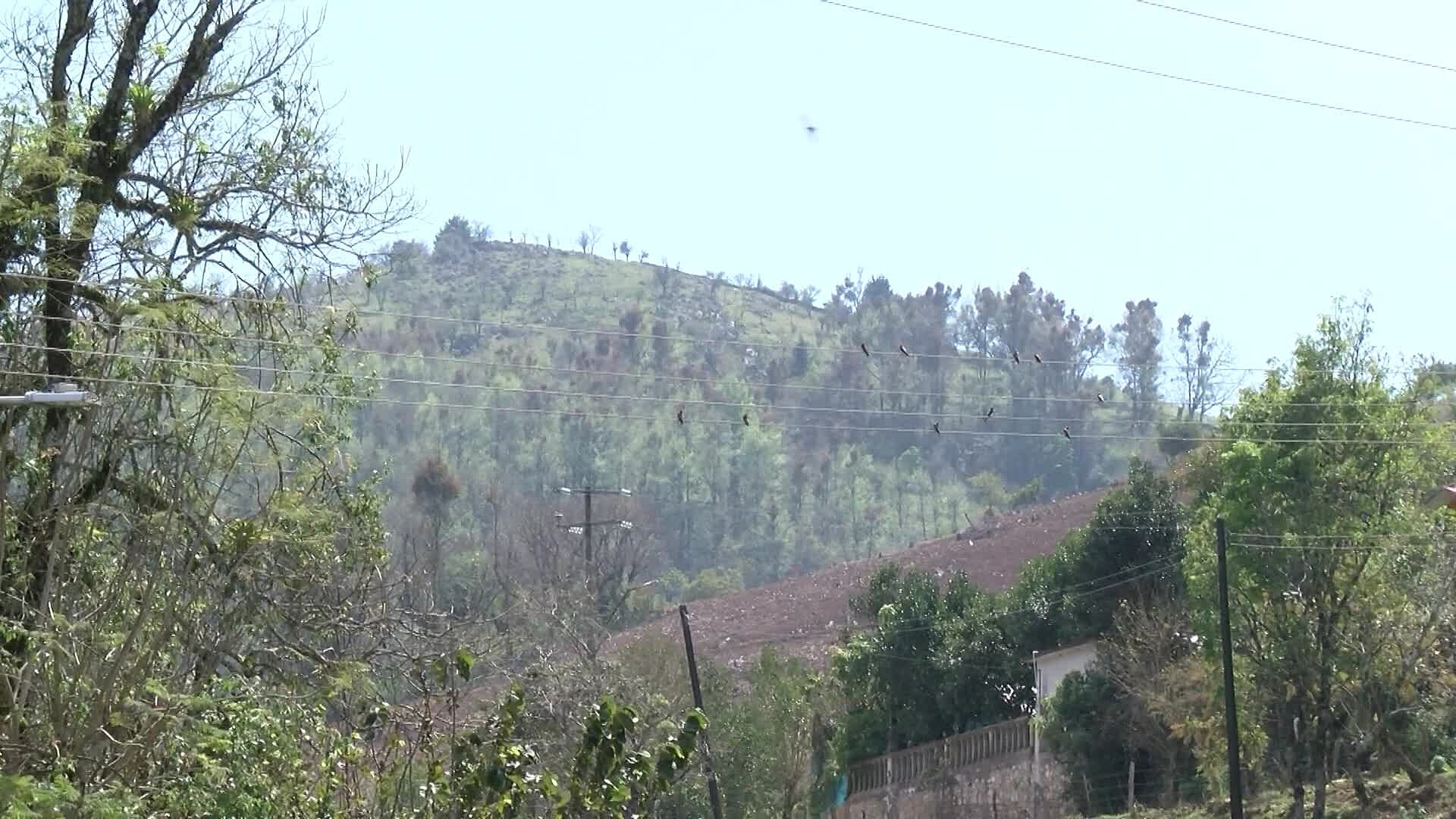 Persisten Fallas en el Suministro Eléctrico en la Sierra Gorda Queretana