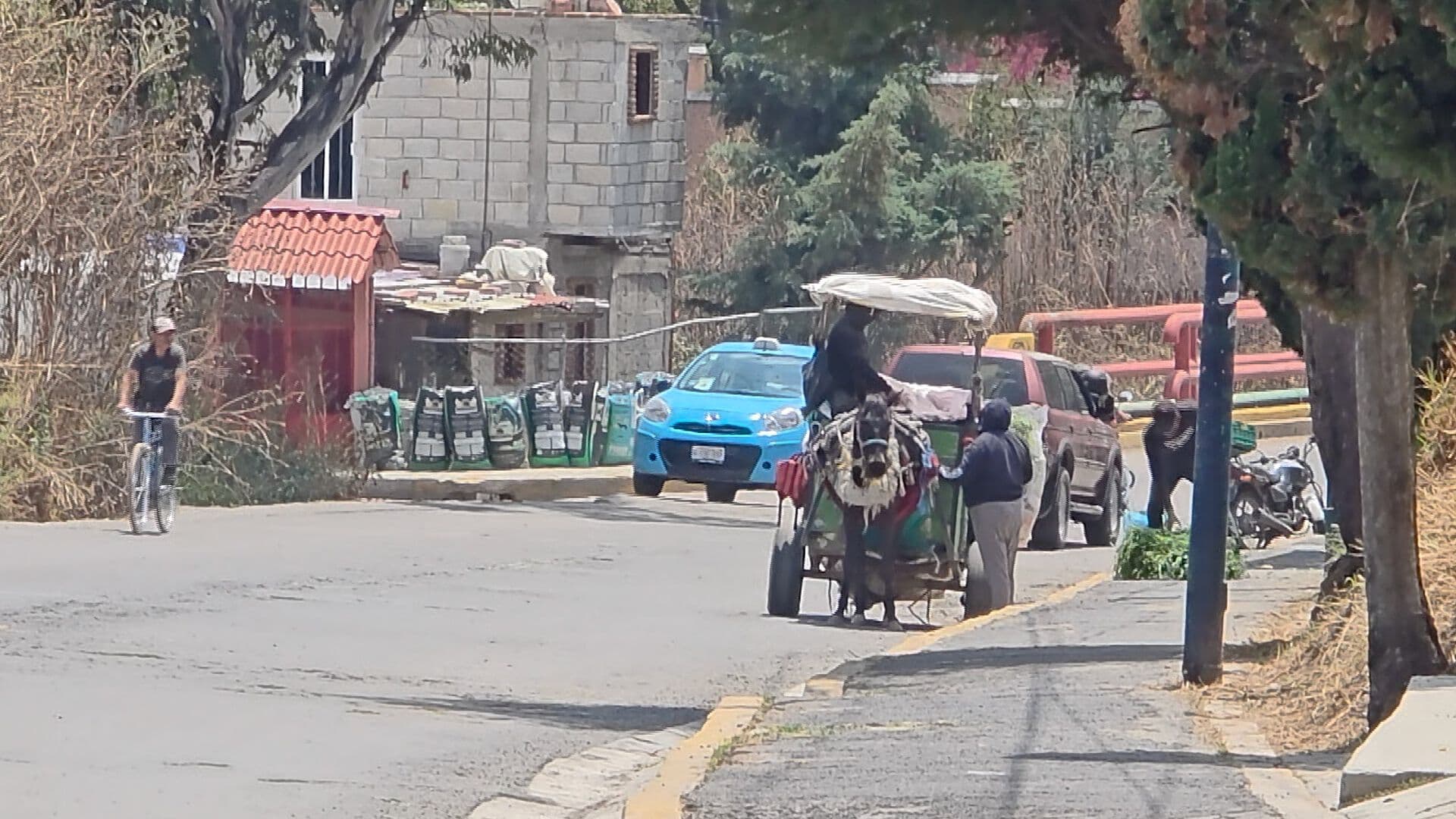 Reemplazo Caballos Motos Recolección Basura San Martín Texmelucan Puebla Protección Animal