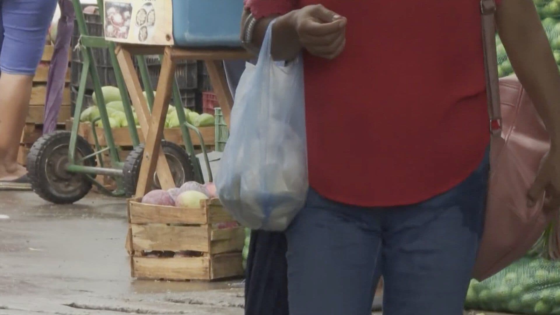 Día Internacional Sin Bolsas de Plástico Exhortan a Crear Conciencia en Veracruz