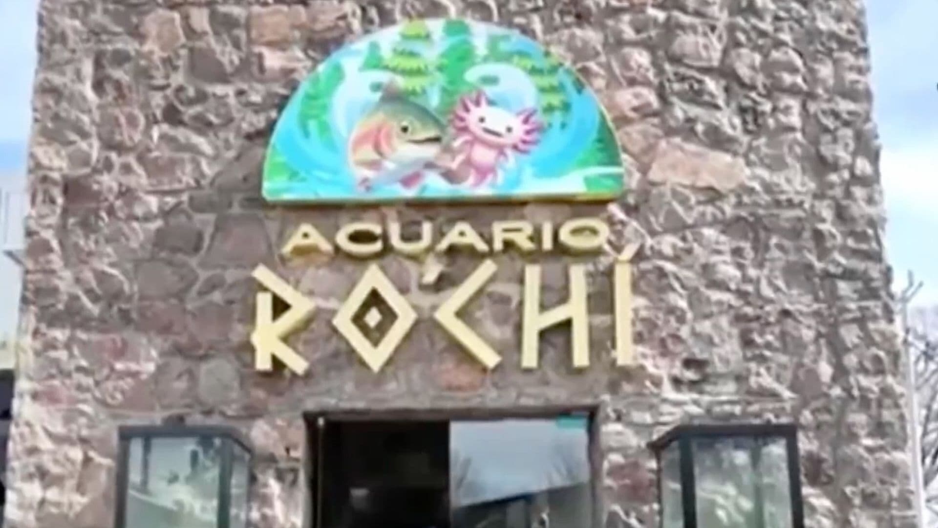 Inauguran el Acuario Rochí en Guachochi, Chihuahua; Tienen 600 Ejemplares de 53 Especies