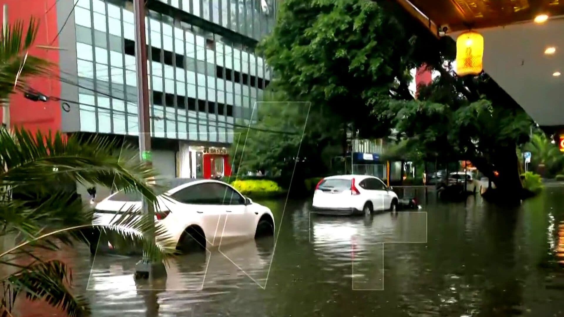 Lluvias Provocan Caída de Árbol e Inundaciones en Miguel Hidalgo, CDMX